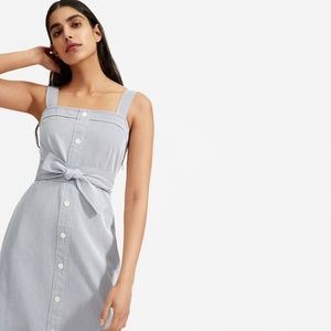 Everlane Cotton Picnic Dress Blue/White Stripe